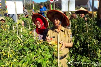 Temanggung lakukan gerakan pertanian ramah lingkungan