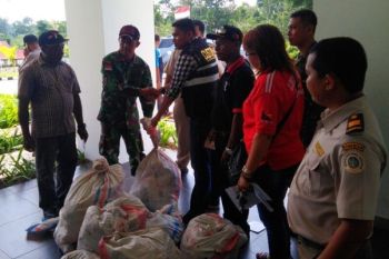TNI gagalkan penyelundupan ratusan kilogram vanili dari PNG