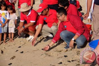 Pertamina Dorong Pelestarian Penyu di Bali