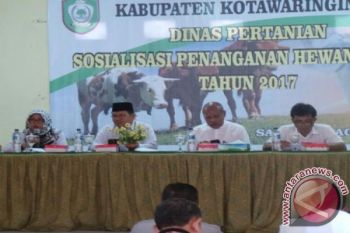 Dinas Pertanian Kotim Sosialisasikan Penanganan Hewan Kurban