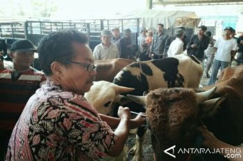 Hewan Kurban di Kudus Diberi Label Sehat 
