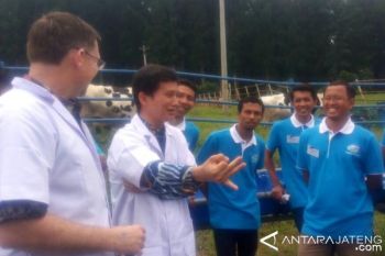 Produksi Susu Belum Optimal, Peternak Sapi Diikutkan Pelatihan