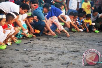 BKSDA Dorong Mataram Kembangkan Wisata Konservasi Penyu 