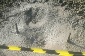 Semburan Gas di Kebumen Berhenti