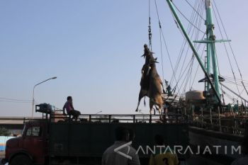 Pekerja Pelabuhan Sepakati Pembayaran Upah per Boks