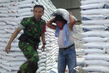 HPP Beras Terpaut Jauh dari Harga Pasar