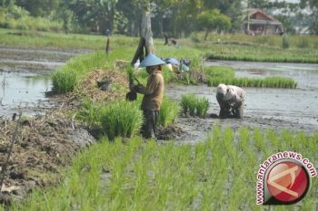 Wali Kota Apresiasi Legislatif Bahas Perubahan APBD