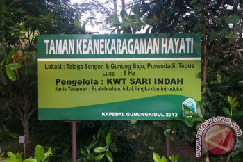 Pariaman Segera Miliki Taman Keanekaragaman Hayati