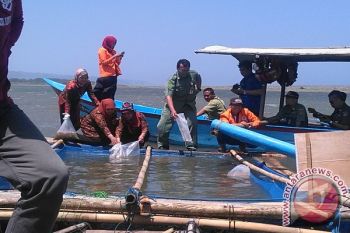 UAD dukung pengembangan kawasan ekowisata mangrove Bantul
