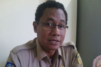 Dinkes Papua dorong pembentukan lembaga "malaria center"