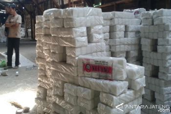 Petani Masih Nikmati Harga Garam Tinggi