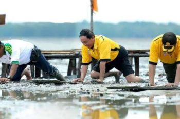 Bupati Inhil Terkagum Tradisi Menongkah