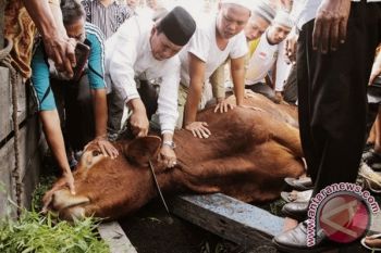 Korem Sumbang 46 Ekor Hewan Kurban 