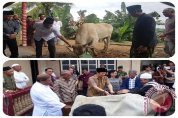 32 Hewan Kurban Diserahkan ke Umat Muslim
