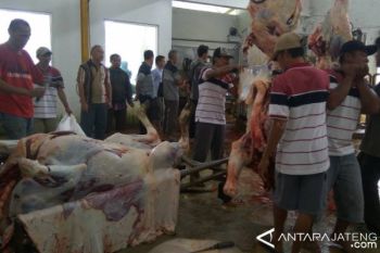 RPH Diminta Masyarakat untuk Menyembelih Hewan Kurban 