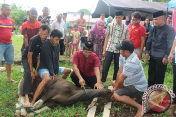 Pemkot Padang catat kurban sebanyak 9.071 ekor di masjid dan mushalla