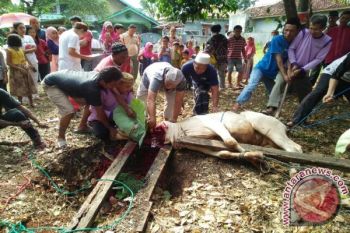 Berkurban Cara Mendekatkan Diri Kepada Allah SWT