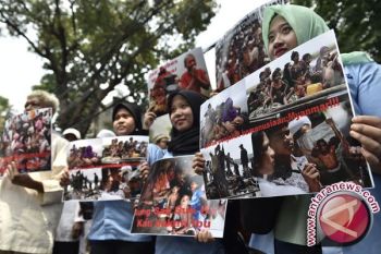 KAMMI: Peran lembaga dunia lamban atasi Rohingya