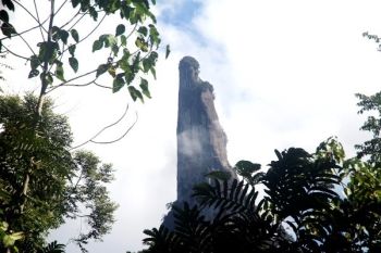 Mapala UI Akhirnya Berhasil Capai Puncak Tebing "Puruk Sandukui" Kalteng