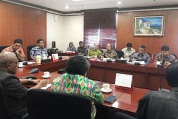 Pemprov Papua minta bagian 20 persen saham Freeport