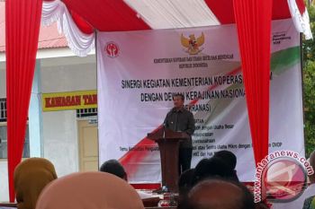 Kementerian KUKM Bantu Pemkab Solok Kembangkan Kerajinan