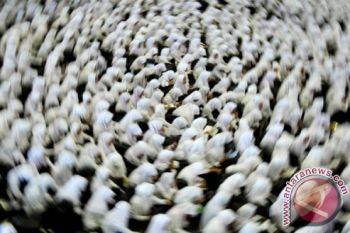 Pendidikan Islam di Majene masih tertinggal