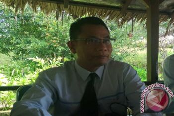 Sistem Kelistrikan Sulut Surplus 51 Megawatt 