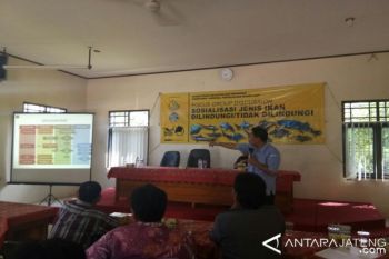 Indonesia Exports 3,800 Tons Of Shark Meat 