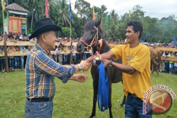 Pordasi Imbau Daerah Bangun dan Kembangkan Gelanggang Pacuan Kuda