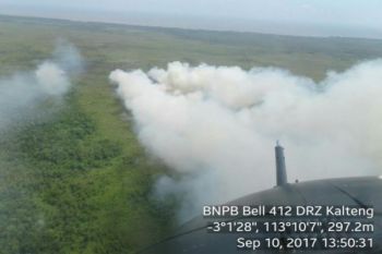 Kotim Masih Siaga Kebakaran Lahan Meski Hujan