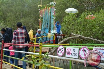 Menikmati Wisata Hutan Mangrove Lampung Timur 