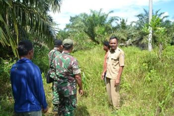 Ratusan Tentara Dikerahkan Bangun Jalan Desa Seruyan
