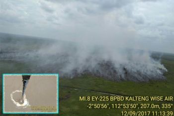 Kalteng usul Pusat kirimkan 14 helikopter tanggulangi karhutla