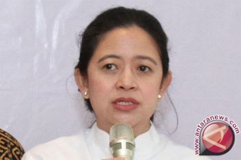 Puan: PDI Perjuangan kantongi cawapres untuk Jokowi