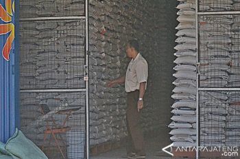 Realisasi Pengadaan Pangan Bulog Surakarta 60.533 Ton 