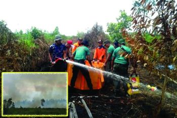 Kebakaran di Sampit Rusak Kebun Warga 