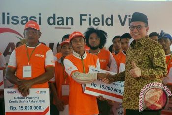 UMKM Pengolah Cokelat Lombok Belum Tersentuh Perbankan 