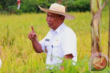 Pemkot Palangka Raya siapkan Rp2 miliar tanggulangi Karhutla