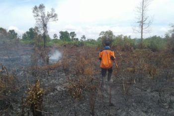 Kebakaran Lahan di Sampit Hanguskan Kebun Masyarakat