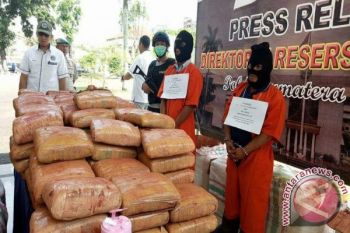 Polisi ungkap peredaran 1,3 ton ganja