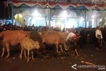 Suasana Sakral 1 Sura Selimuti Keraton Solo 
