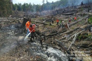 Sip! Tim Karlahut Barut Temukan Lokasi Lahan Terbakar