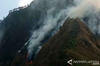 Hutan Pegunungan Rahtawu Kudus Terbakar 