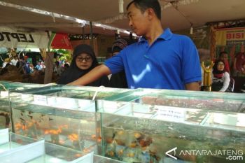 Pemasaran Ikan Hias Kudus Andalkan Medsos