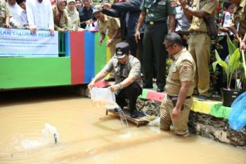 Wali Kota Bikin Parit Jadi Pembibitan Ikan 
