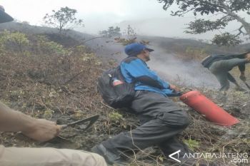 Kebakaran Hutan Di Pegunungan Muria Bisa Dipadamkan