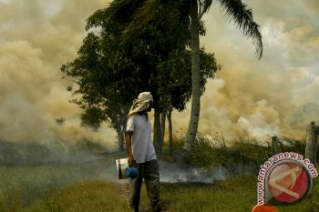 Pemprov dorong pemanfaatan lahan rawan terbakar