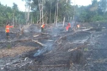 Waduh! Satgas Kembali Temukan Lokasi Lahan Terbakar di Teweh Tengah