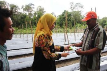 Senyum Petani Itu Diwadahi Pertamina