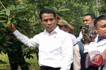 Mentan Ajak Warga Sultra Jaga Kenyamanan Investor